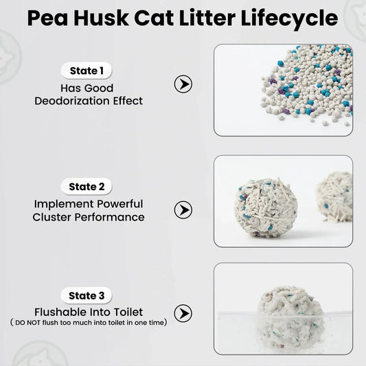 Litière pour chat Tofu Thé Vert Pack Cubique