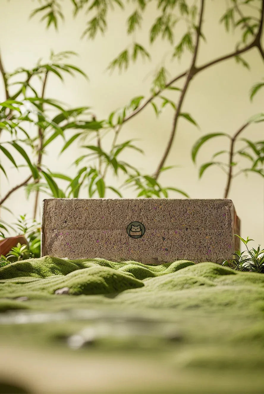 Litière pour chat Tofu Thé Vert Pack Cubique