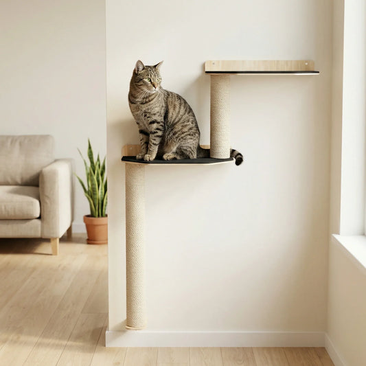 Parcours d'escalade mural et griffoir pour chat