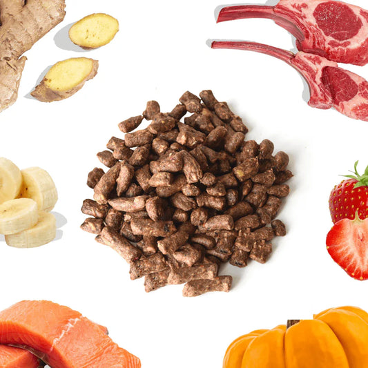 Bouchées Repas Agneau + Saumon