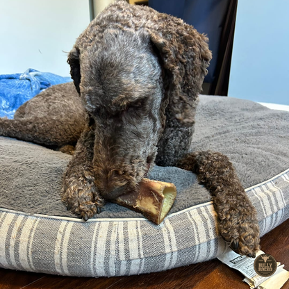 Bully Bunches 5-6 Inch Marrow Bone