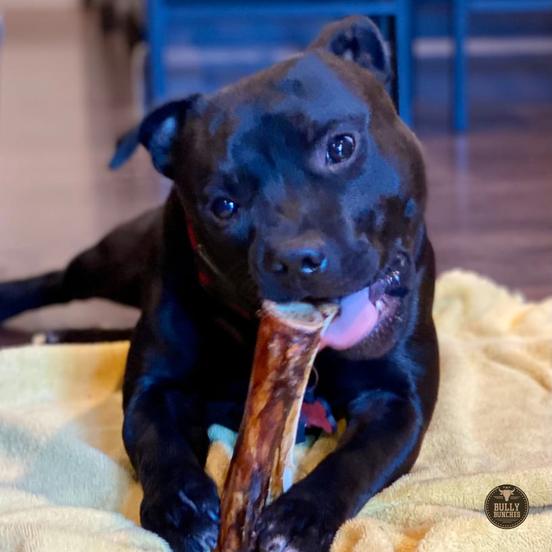 Bully Bunches 5-6 Inch Marrow Bone