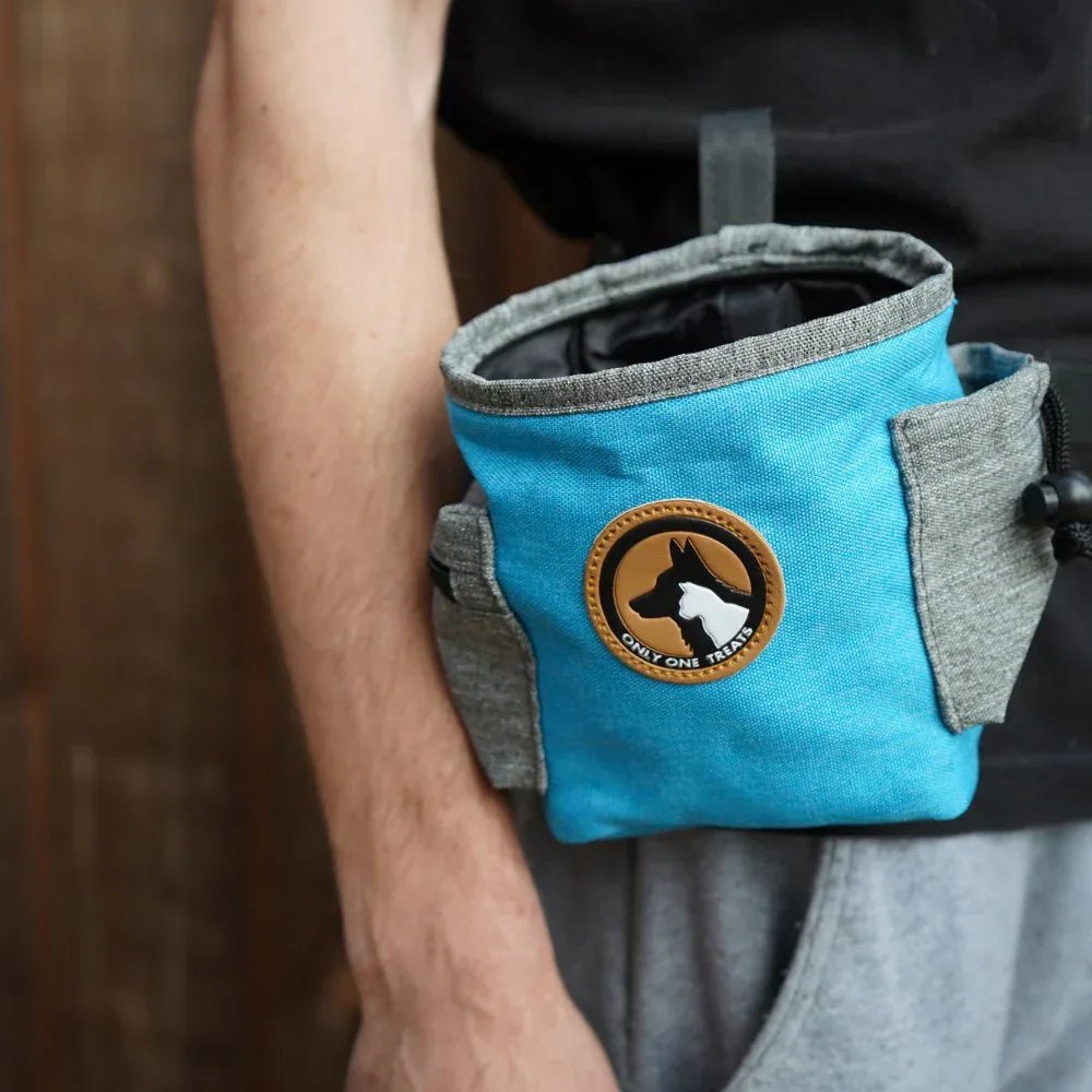 Pochette à friandises moyenne - Bleue