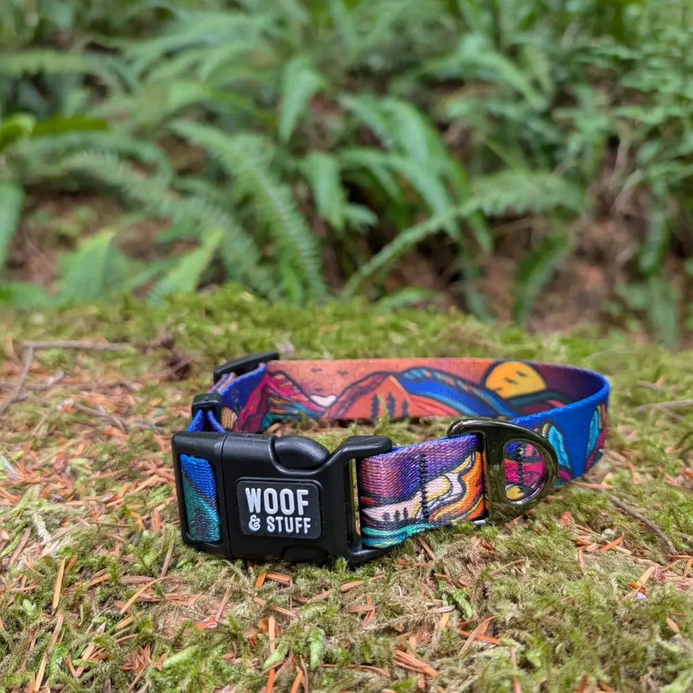Woof & Stuff Midnight Sun Collar
