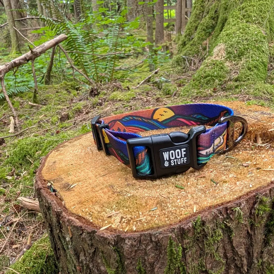 Woof & Stuff Midnight Sun Collar