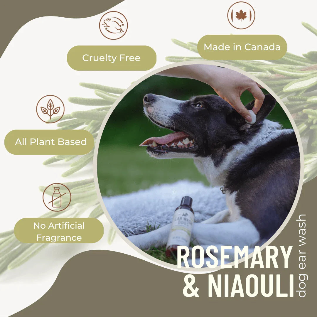 Nettoyant naturel pour oreilles de chien – Romarin & Niaouli