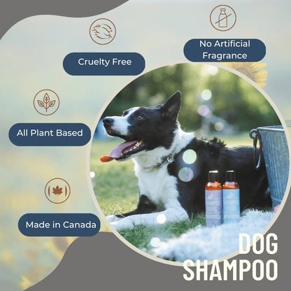 Shampooing désodorisant pour chien – Pin et sapin
