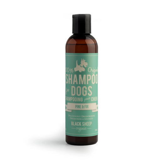 Shampooing désodorisant pour chien – Pin et sapin