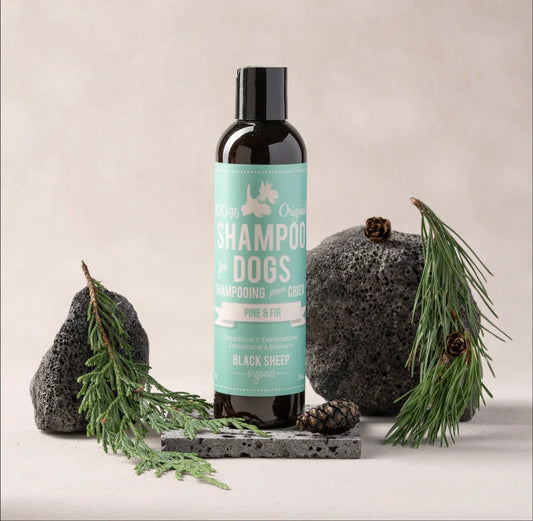 Shampooing désodorisant pour chien – Pin et sapin