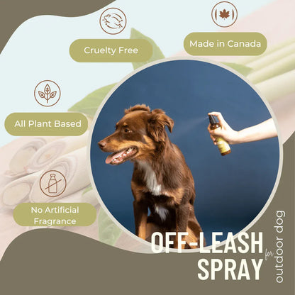 Spray Anti-Démangeaisons pour Chiens – Soulagement Doux et Naturel