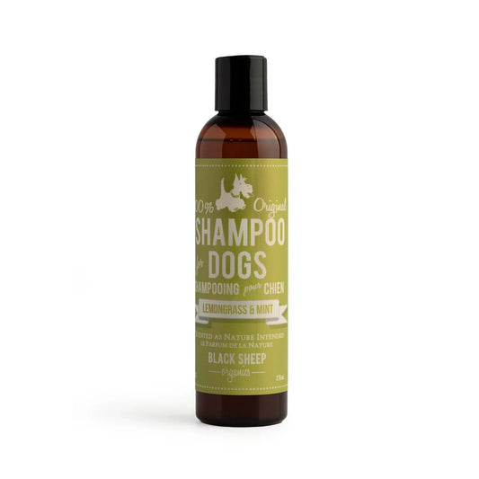 Shampoing naturel pour chien – Citronnelle et menthe