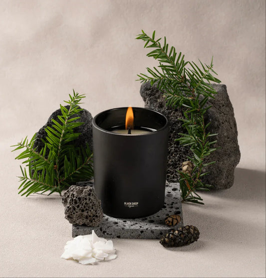 Bougies compatibles avec les animaux - Cèdre Jasmin