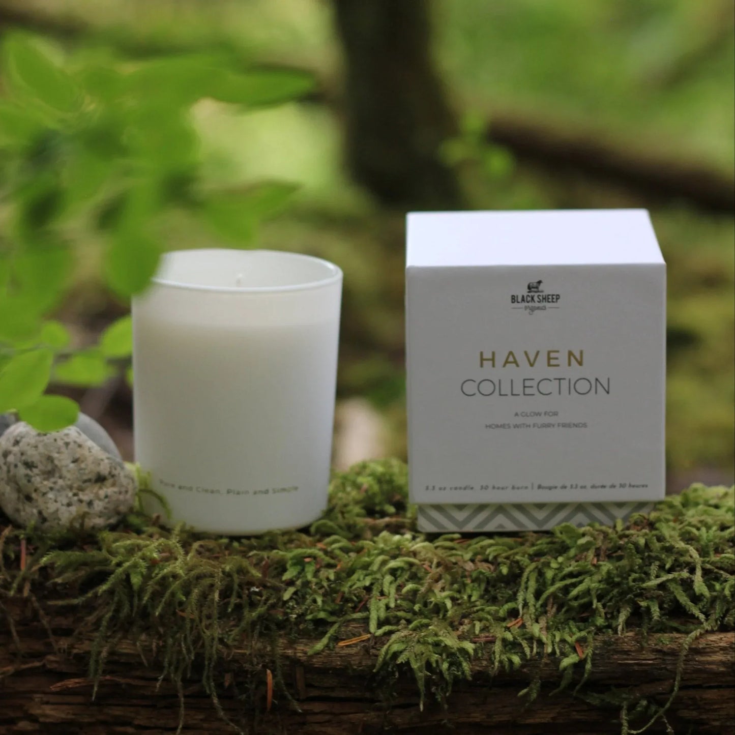 Bougies respectueuses des animaux - Pêche Parfait