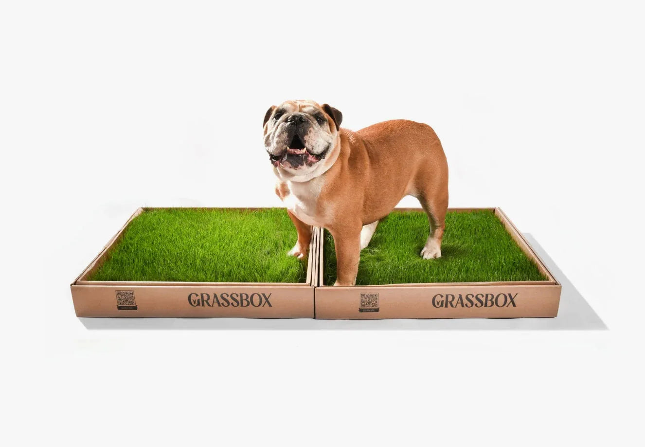 Vraie boîte à gazon