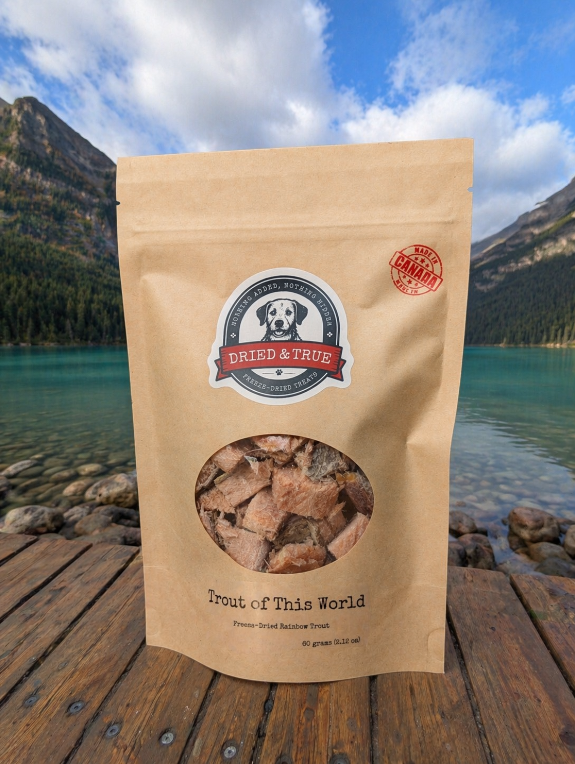 Dried & True Trout of This World