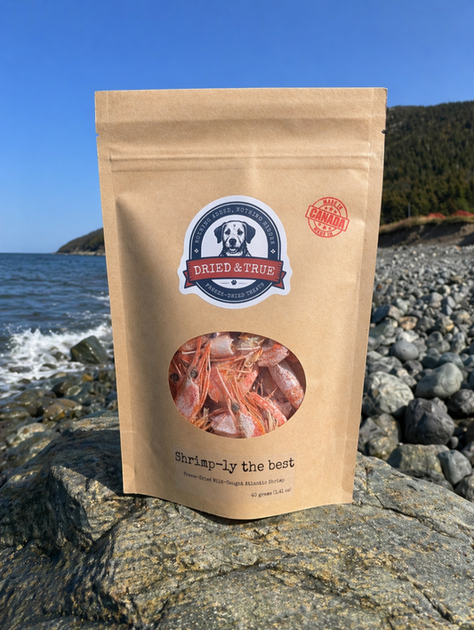 Dried & True Shrimp-ly the Best