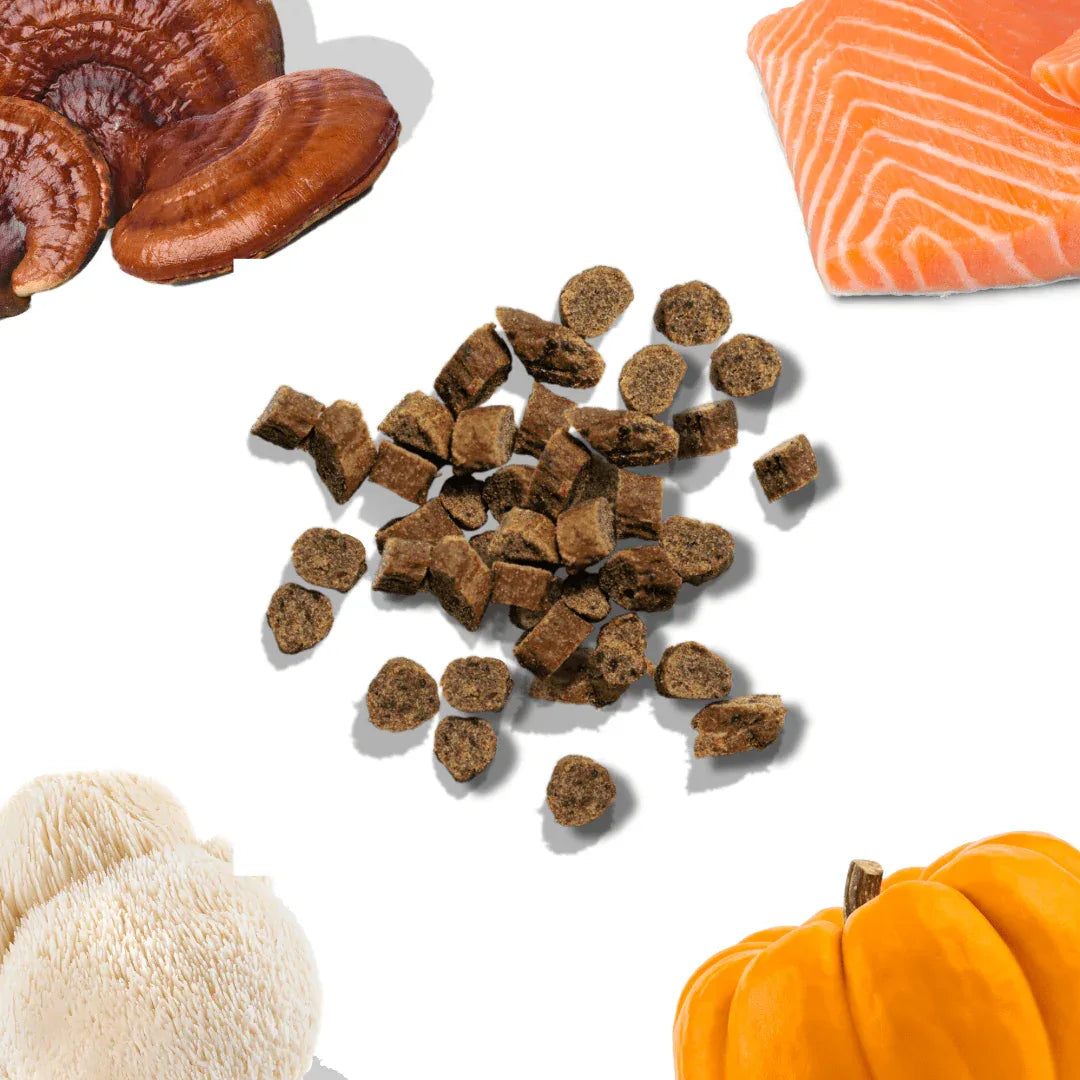 Mini-friandises de dressage au saumon