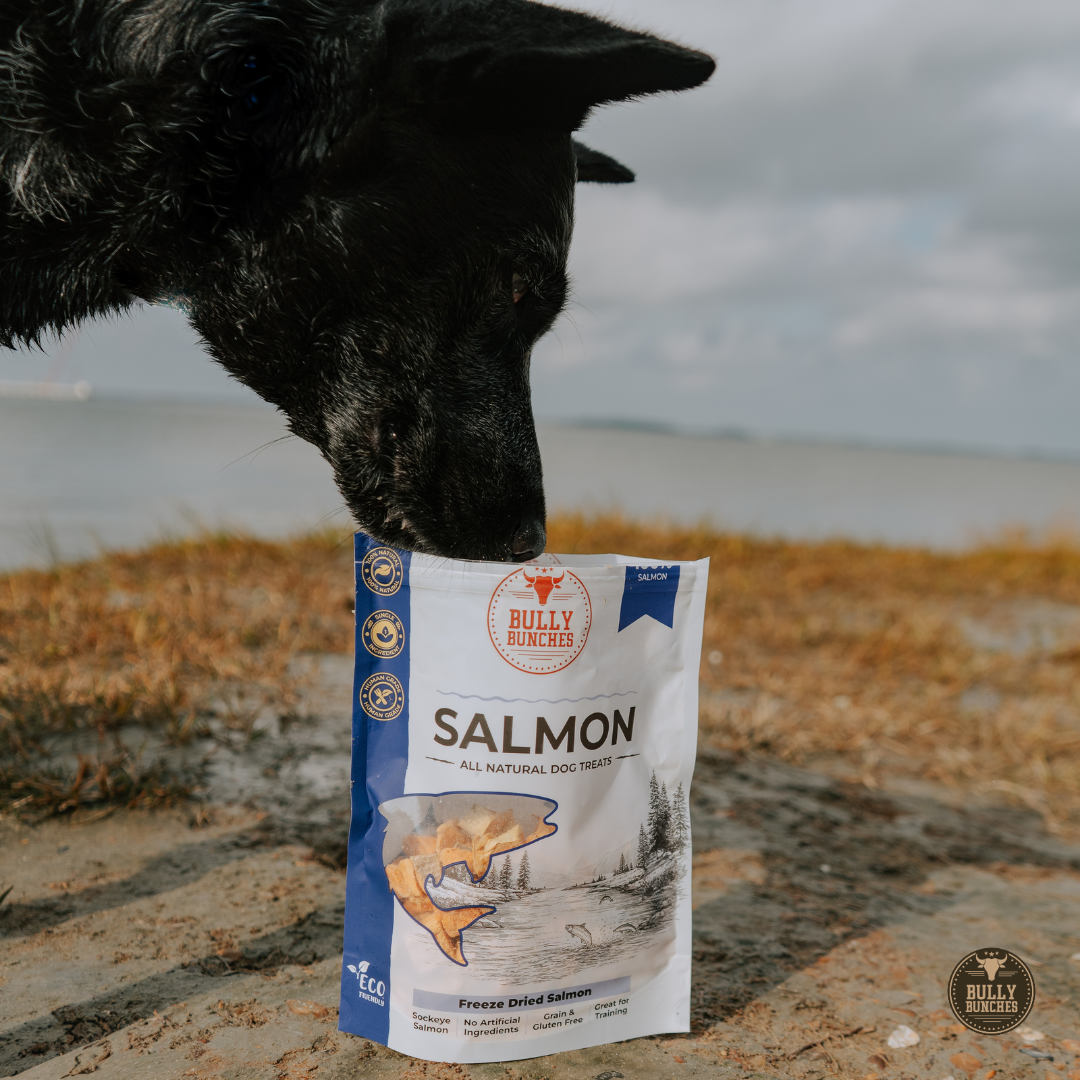 Bully Bunches Freeze Dried Salmon 100g / 3.5oz
