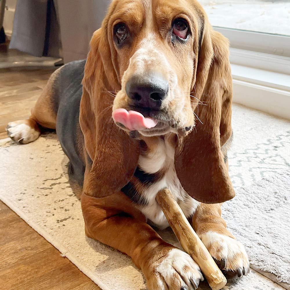 Petit Bois à Mâcher Café