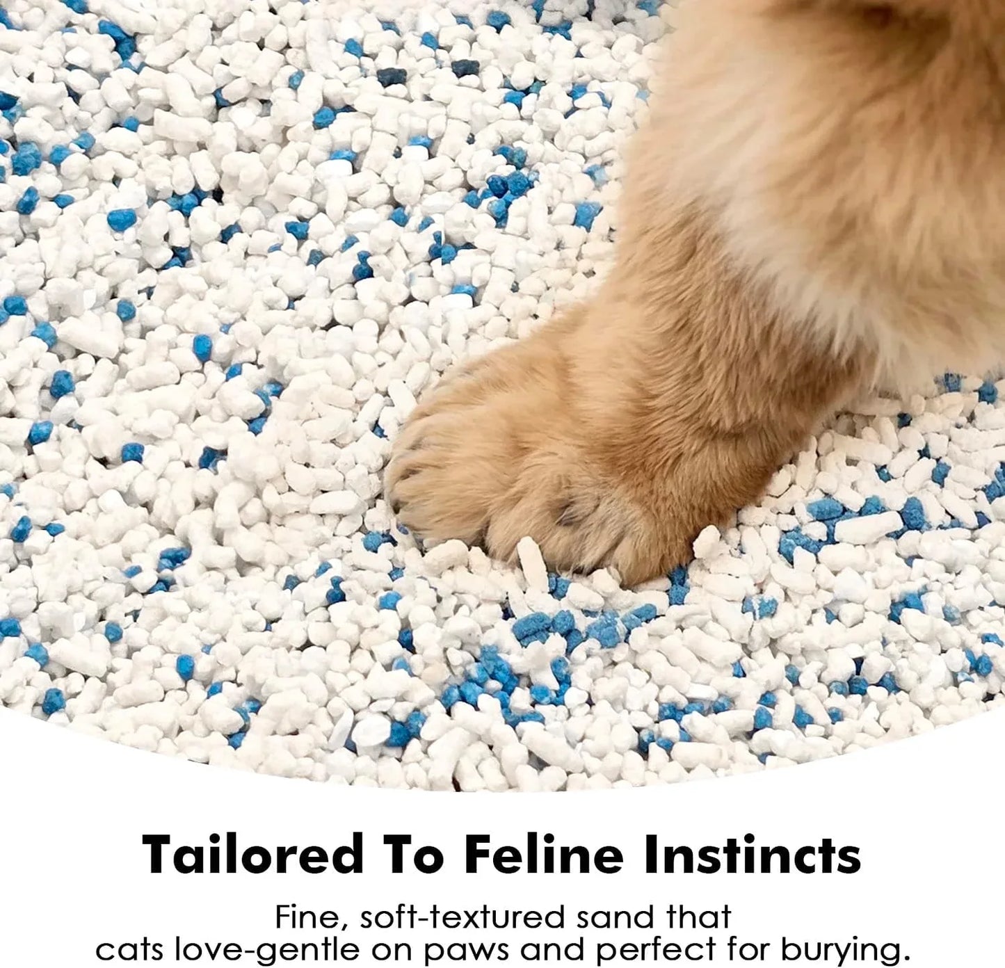 Litière Cassava Parfum Vanille en Cubes