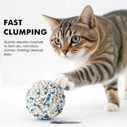 Litière Cassava Parfum Vanille en Cubes