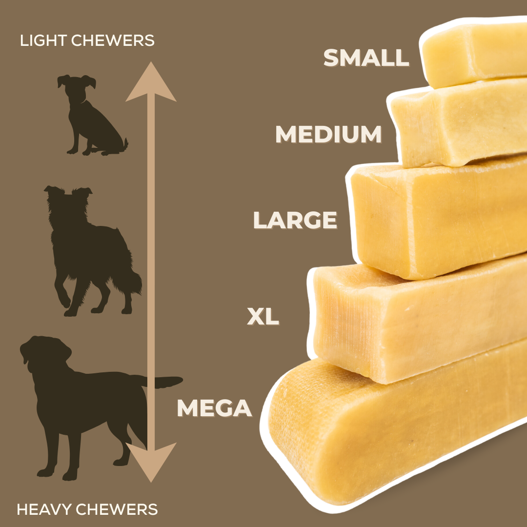 Bully Bunches Blueberry Himalayan Yak Chew (MEDIUM)