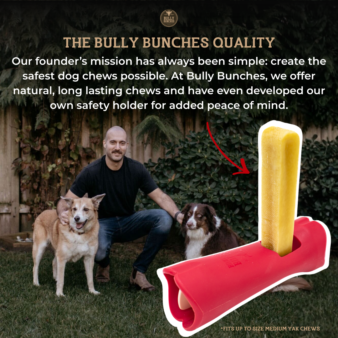 Bully Bunches Blueberry Himalayan Yak Chew (MEDIUM)
